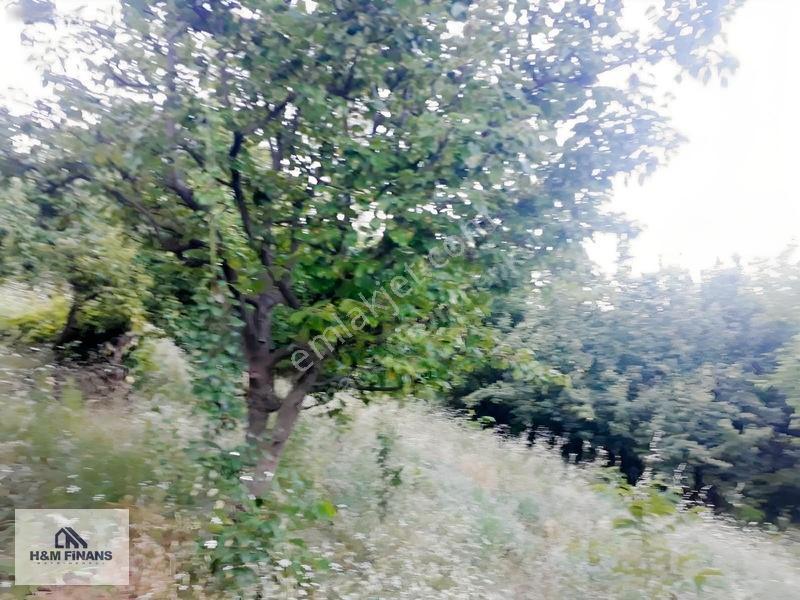 Sakarya Geyve Güney Mah.köy İçinde 1403 M2 Satılık Arsa — fotoğraf 27