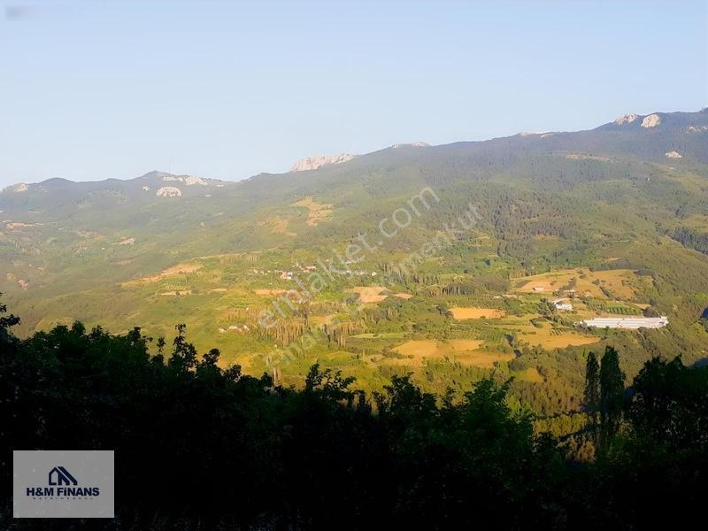 Sakarya Geyve Güney Mah.köy İçinde 1403 M2 Satılık Arsa — fotoğraf 30