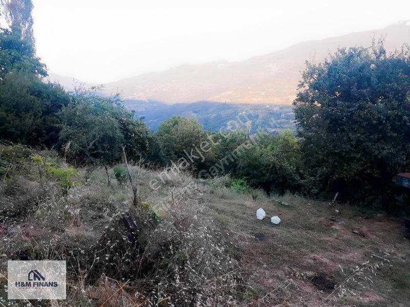 Sakarya Geyve Güney Mah.köy İçinde 1403 M2 Satılık Arsa — fotoğraf 31