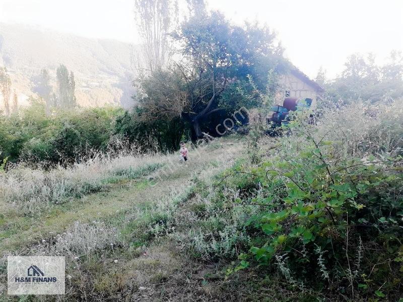 Sakarya Geyve Güney Mah.köy İçinde 1403 M2 Satılık Arsa — fotoğraf 32