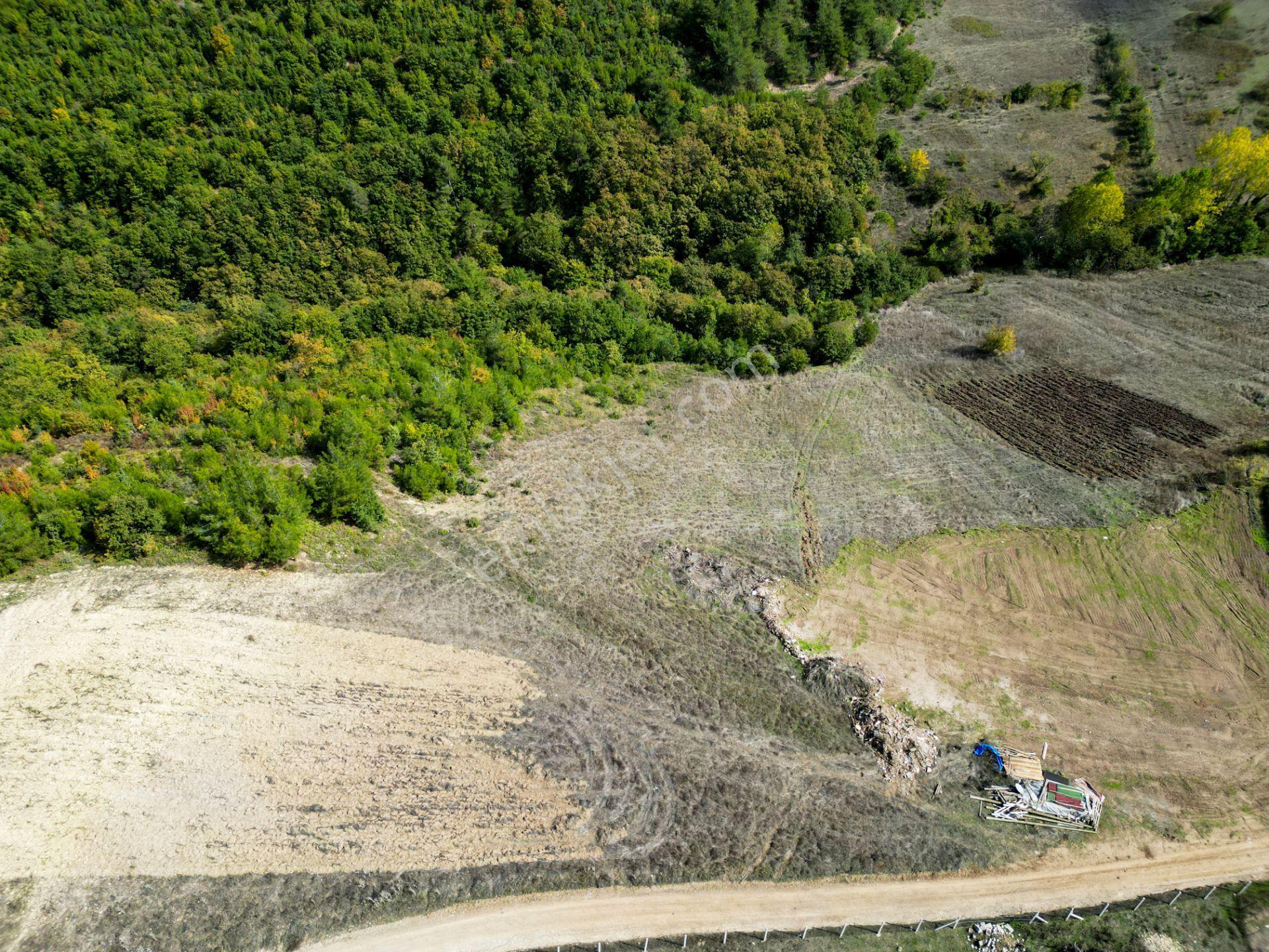 Uzmanlar'dan Karamürsel Çamdibi Satılık 10.972 M2 Tarla — fotoğraf 2