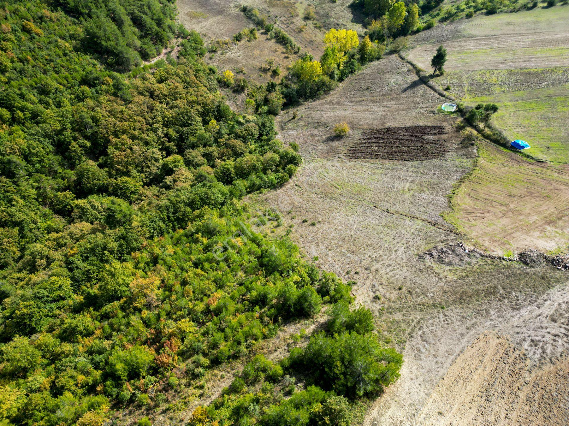 Uzmanlar'dan Karamürsel Çamdibi Satılık 10.972 M2 Tarla — fotoğraf 3
