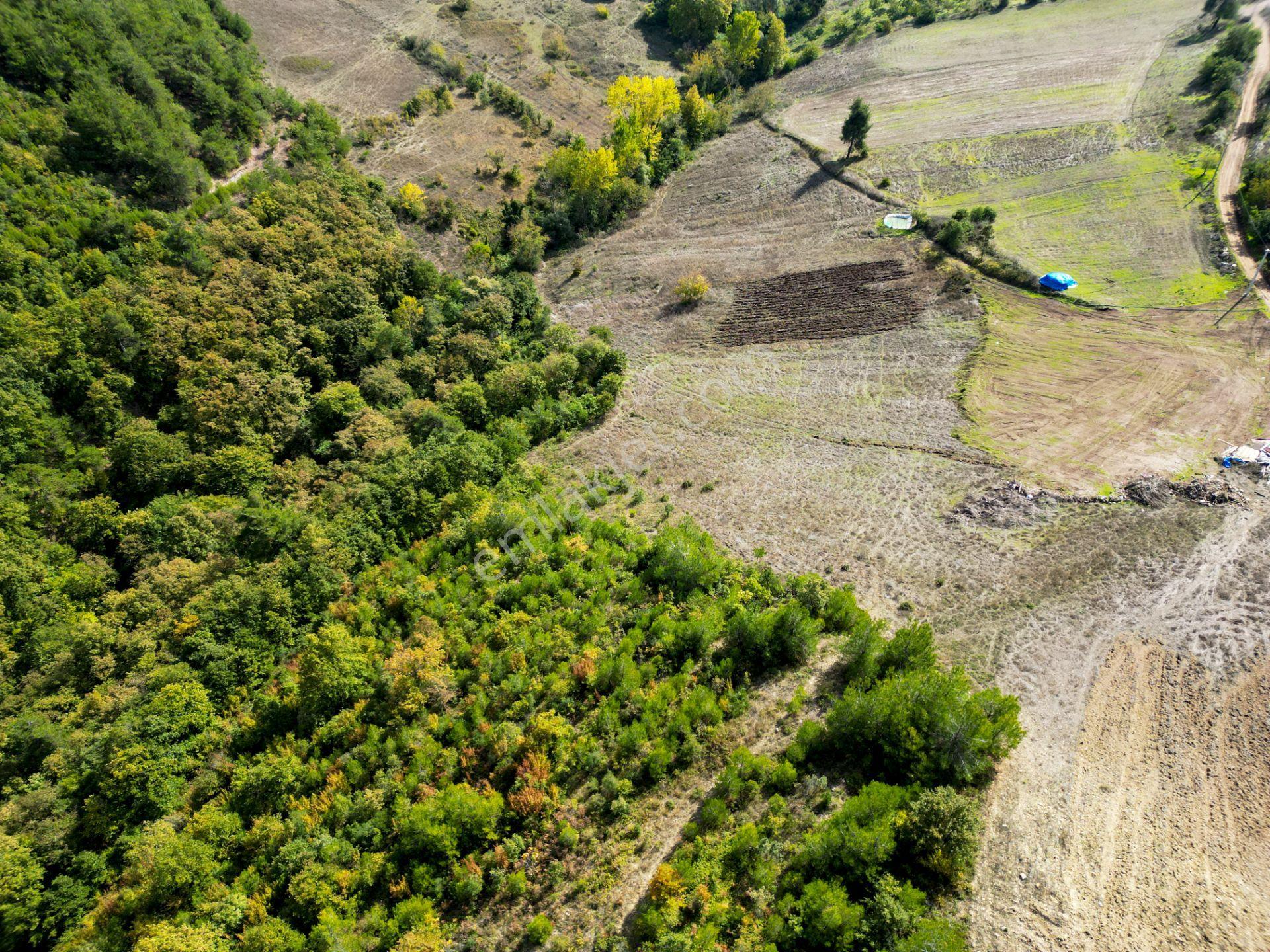 Uzmanlar'dan Karamürsel Çamdibi Satılık 10.972 M2 Tarla — fotoğraf 4