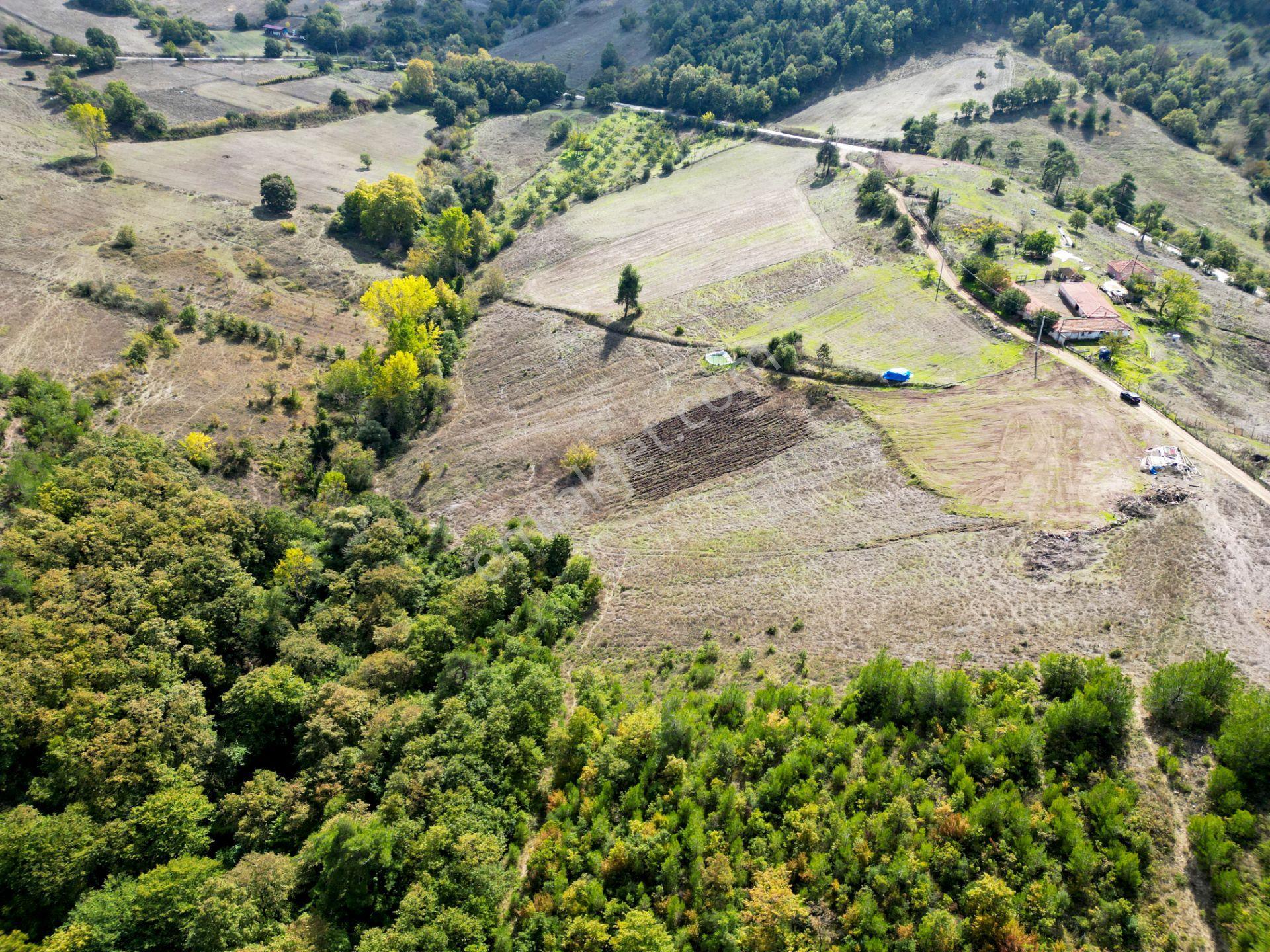 Uzmanlar'dan Karamürsel Çamdibi Satılık 10.972 M2 Tarla — fotoğraf 5