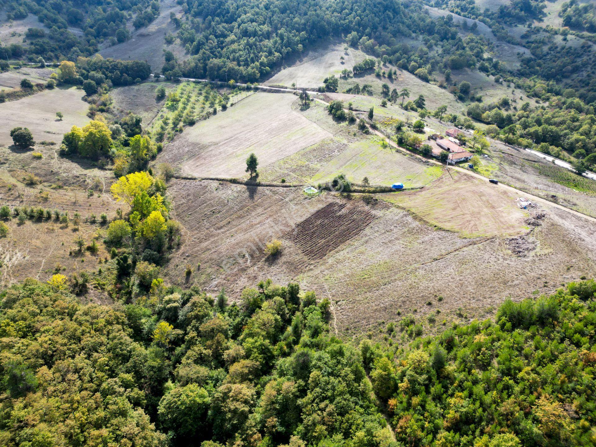 Uzmanlar'dan Karamürsel Çamdibi Satılık 10.972 M2 Tarla — fotoğraf 6