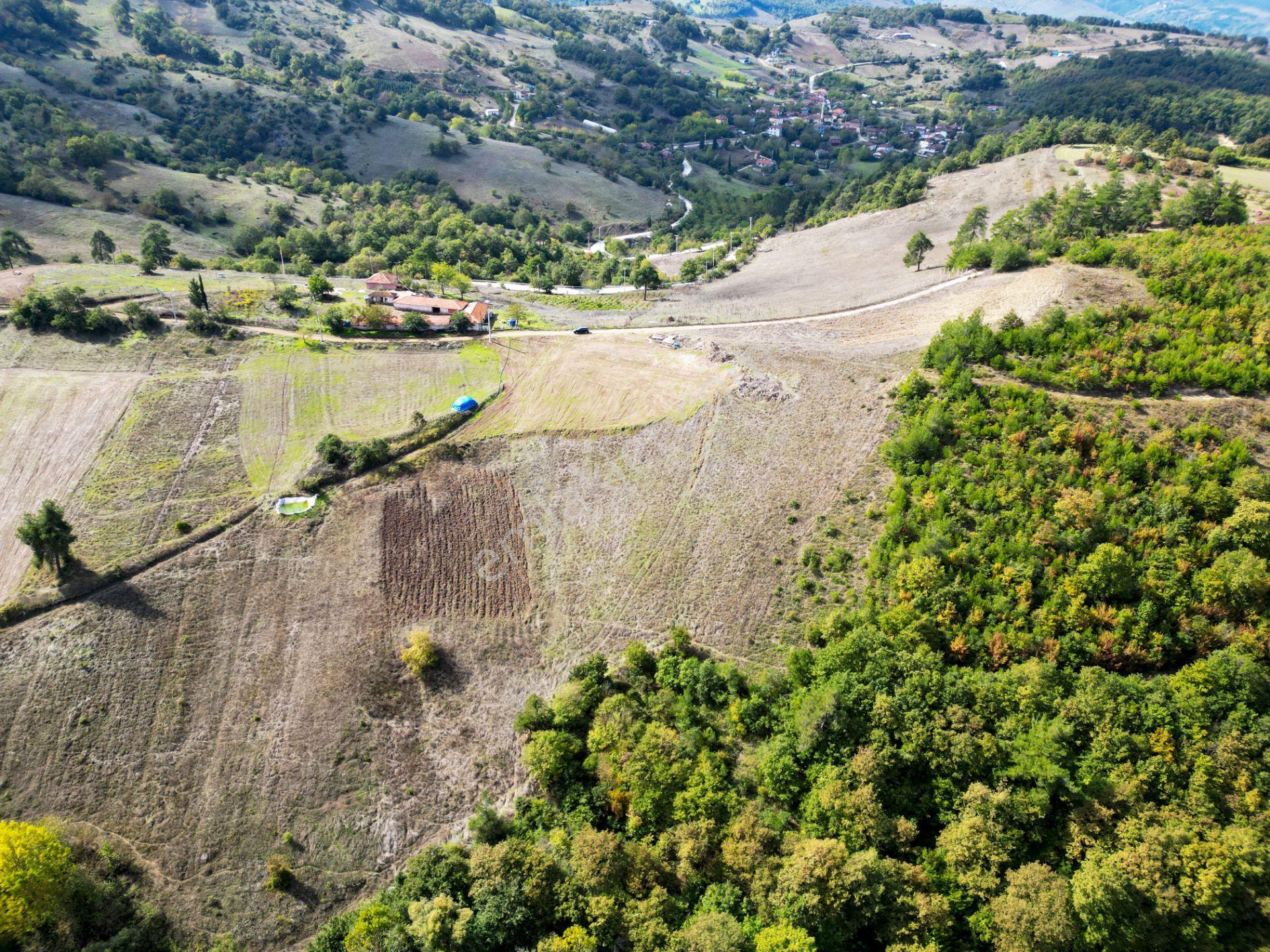 Uzmanlar'dan Karamürsel Çamdibi Satılık 10.972 M2 Tarla — fotoğraf 7