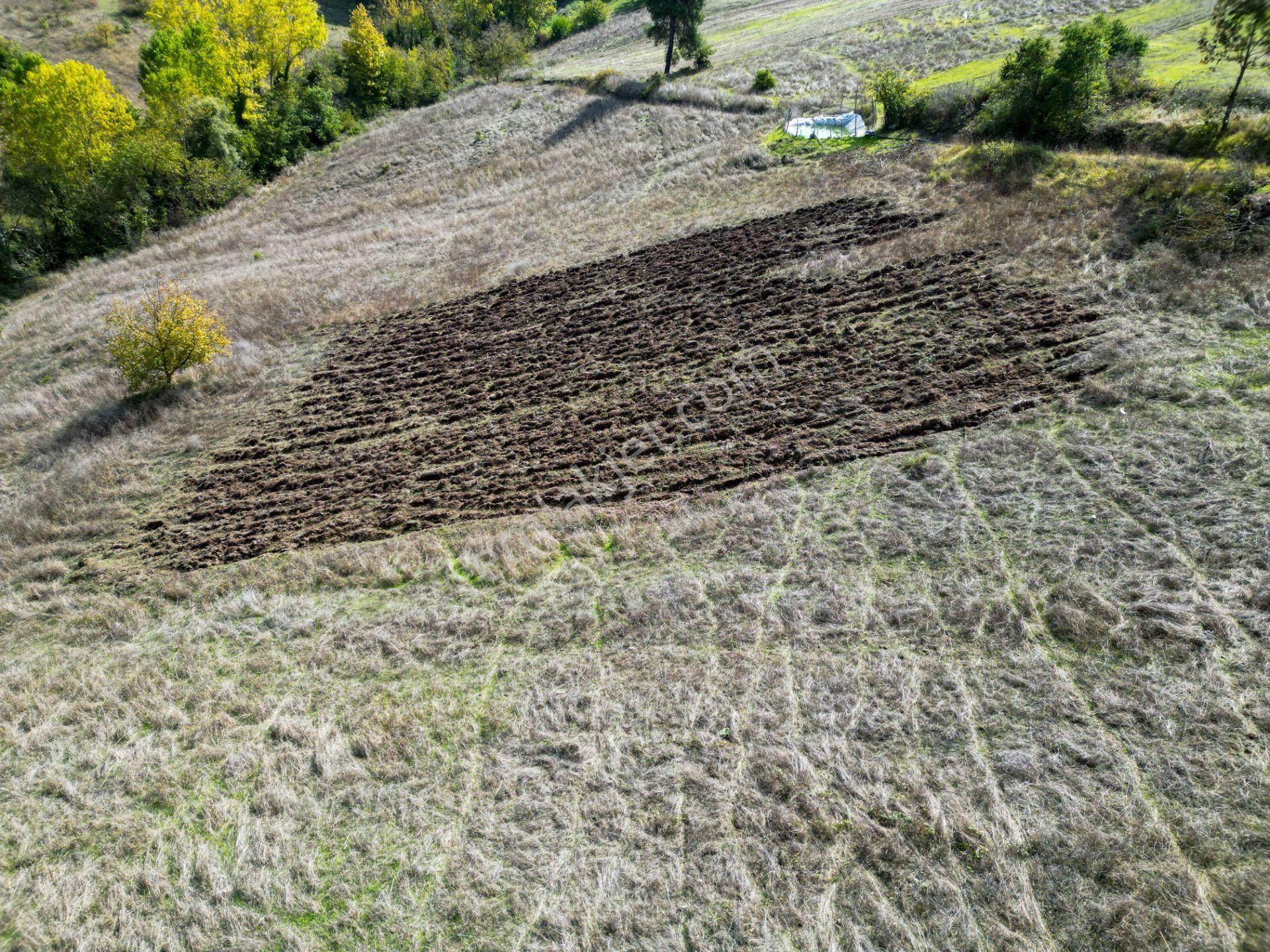 Uzmanlar'dan Karamürsel Çamdibi Satılık 10.972 M2 Tarla — fotoğraf 8