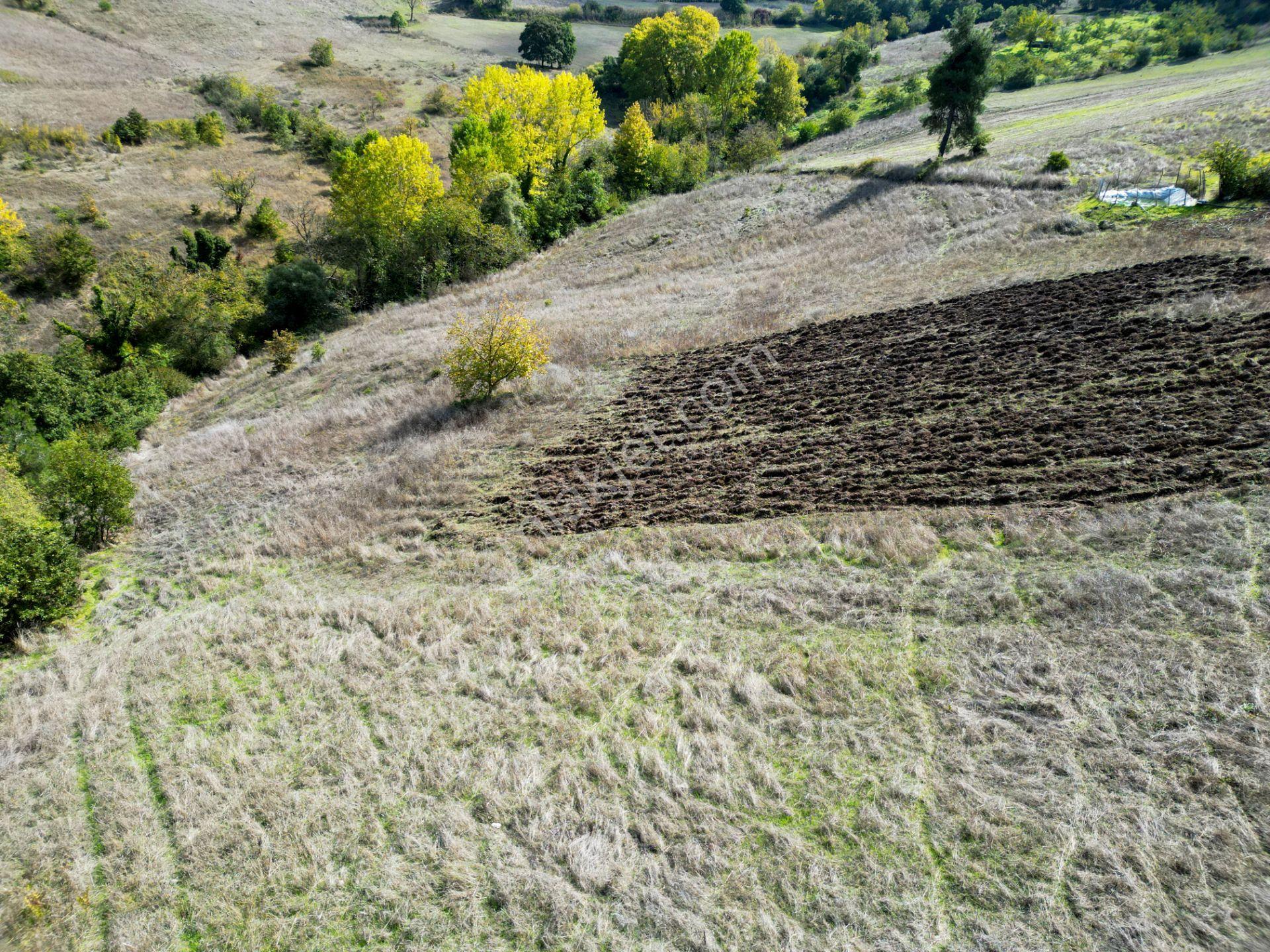 Uzmanlar'dan Karamürsel Çamdibi Satılık 10.972 M2 Tarla — fotoğraf 9