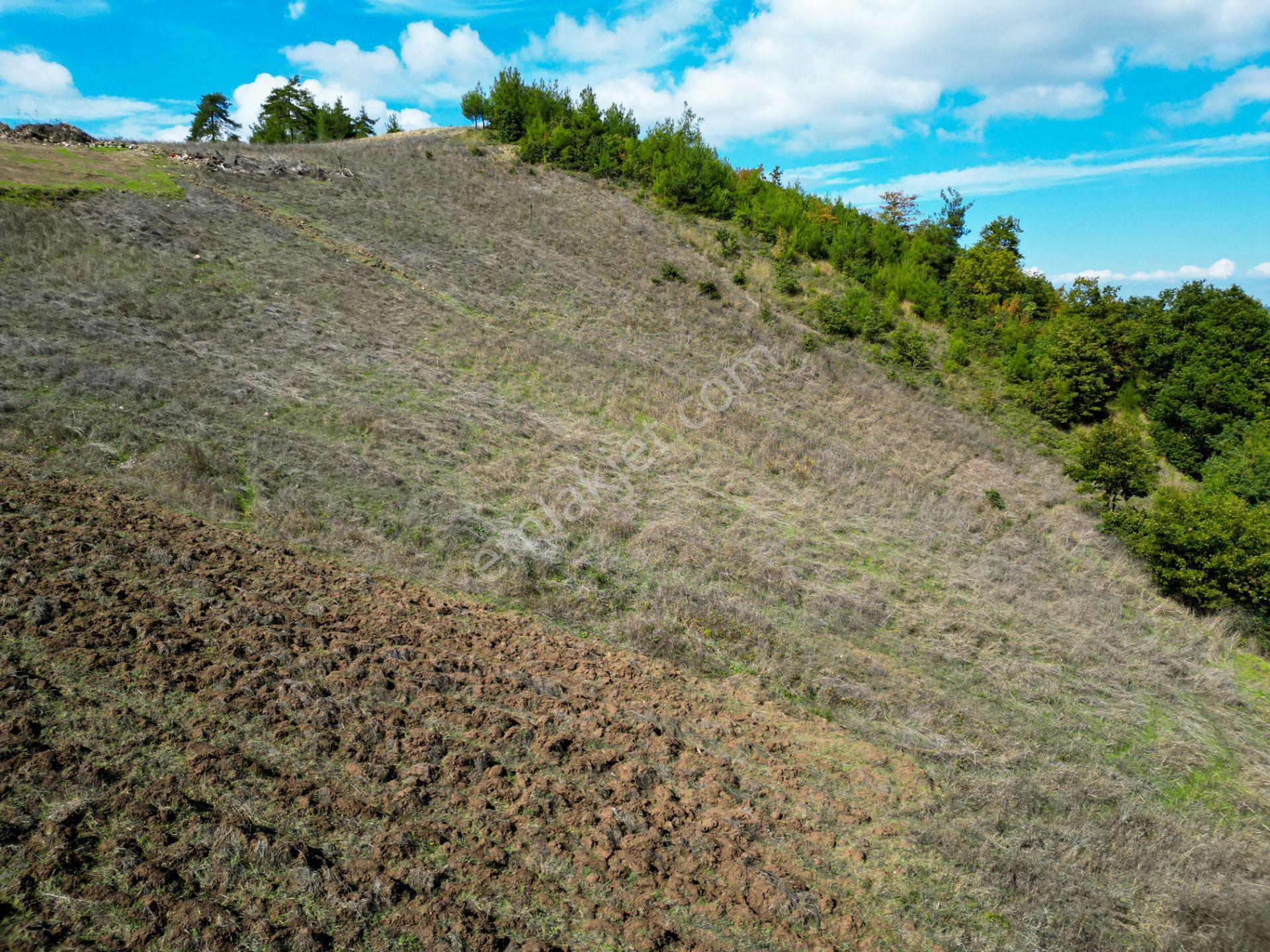 Uzmanlar'dan Karamürsel Çamdibi Satılık 10.972 M2 Tarla — fotoğraf 10