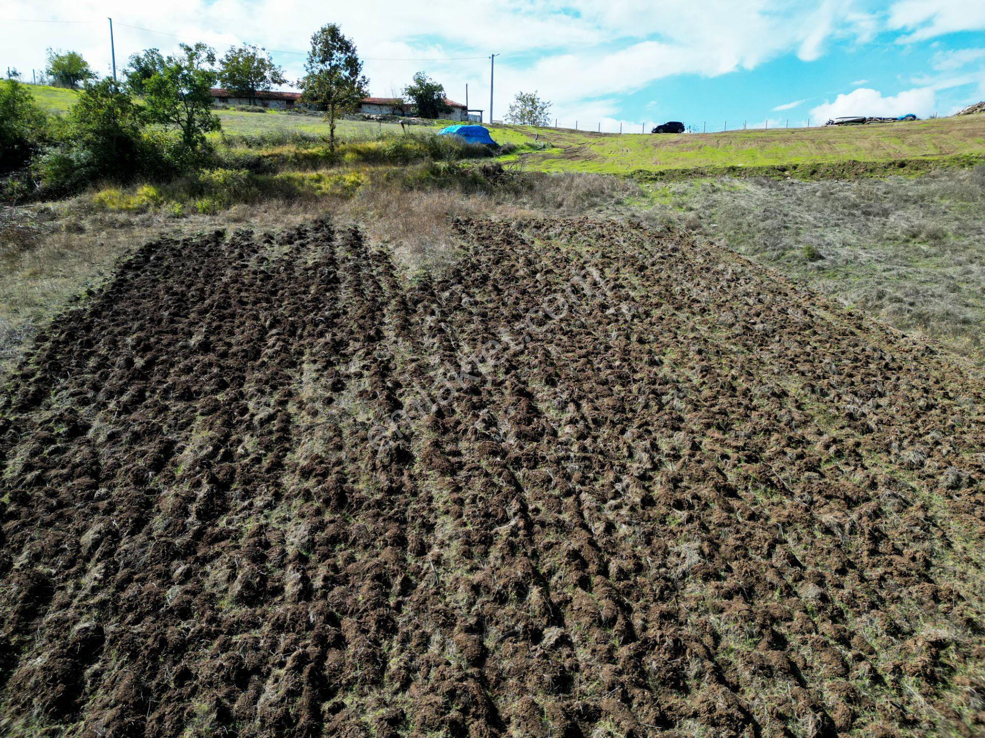 Uzmanlar'dan Karamürsel Çamdibi Satılık 10.972 M2 Tarla — fotoğraf 11