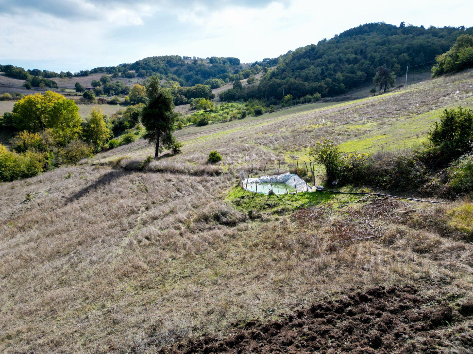 Uzmanlar'dan Karamürsel Çamdibi Satılık 10.972 M2 Tarla — fotoğraf 12