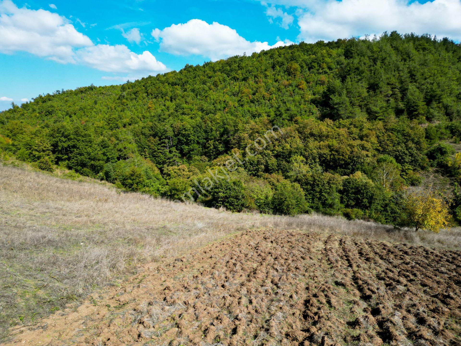 Uzmanlar'dan Karamürsel Çamdibi Satılık 10.972 M2 Tarla — fotoğraf 13