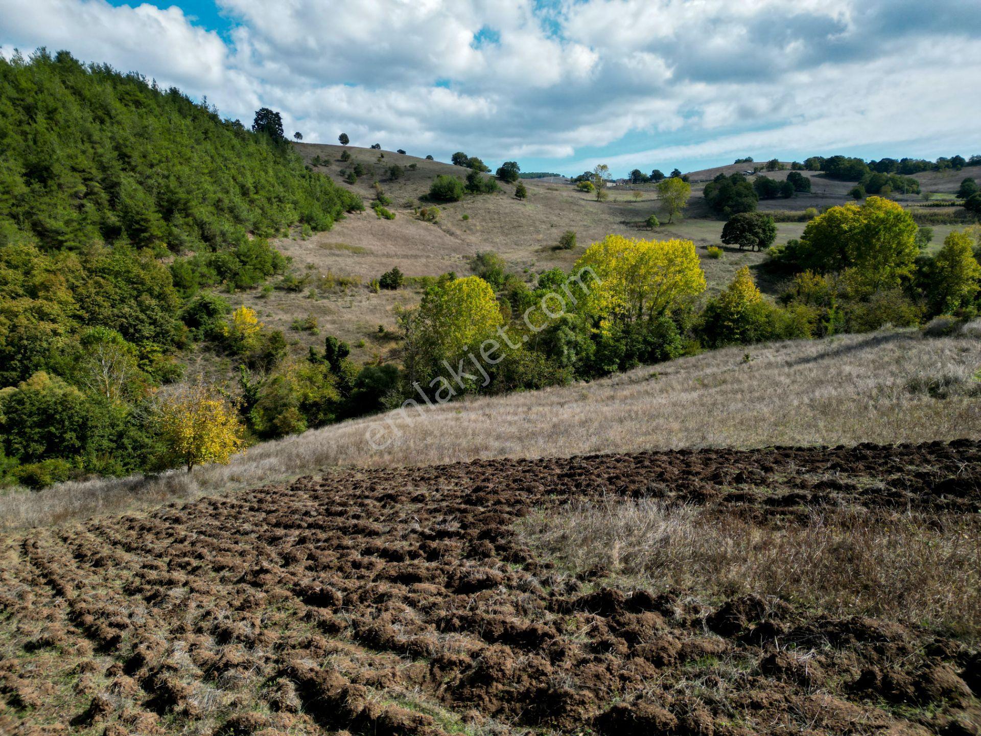 Uzmanlar'dan Karamürsel Çamdibi Satılık 10.972 M2 Tarla — fotoğraf 14