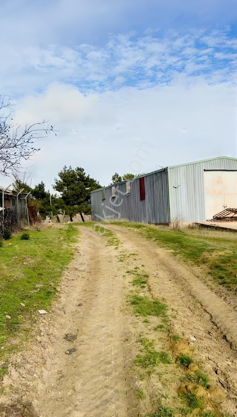 Tekirdağ Köy Merkezinde 216 M2 Arsa ( İmarlı )