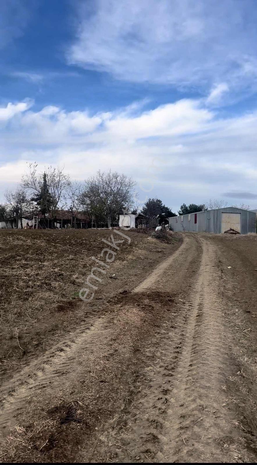 Tekirdağ Köy Merkezinde 216 M2 Arsa ( İmarlı ) — fotoğraf 6