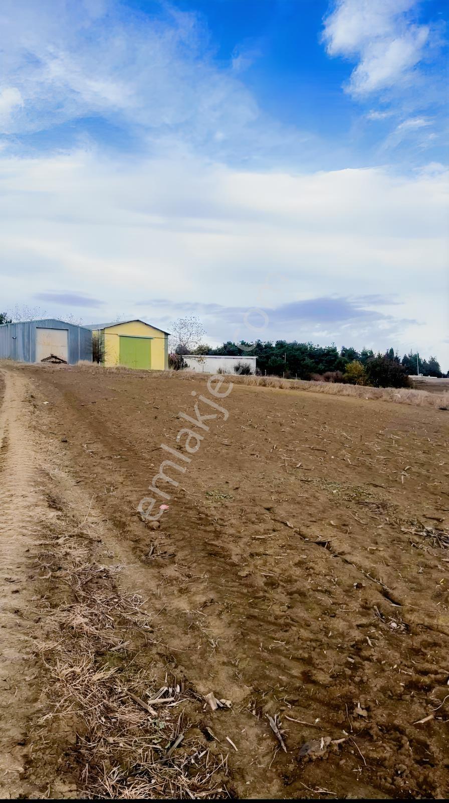 Tekirdağ Köy Merkezinde 216 M2 Arsa ( İmarlı ) — fotoğraf 8