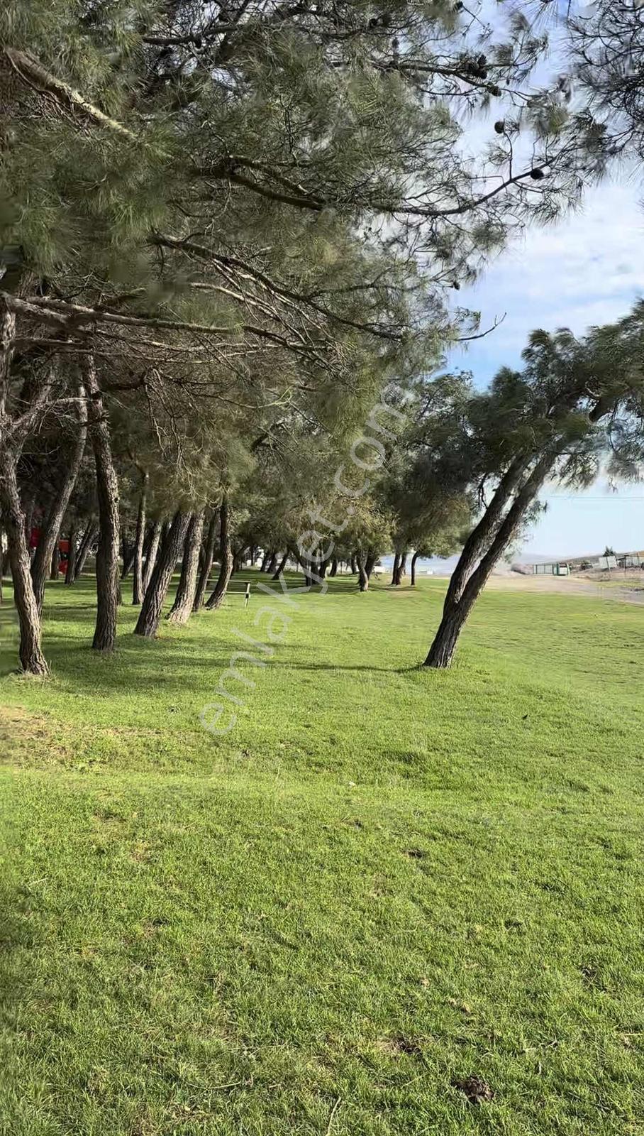 Tekirdağ Köy Merkezinde 216 M2 Arsa ( İmarlı ) — fotoğraf 12