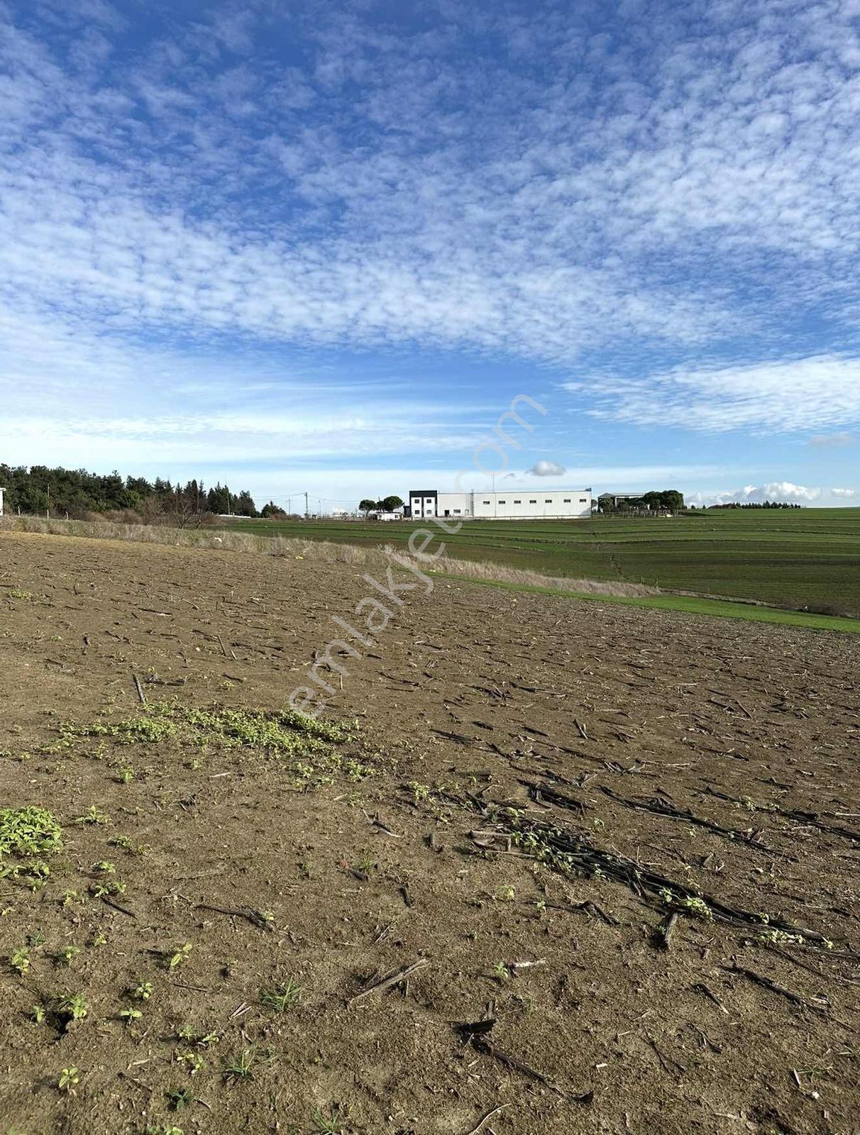 Tekirdağ Köy Merkezinde 216 M2 Arsa ( İmarlı ) — fotoğraf 15
