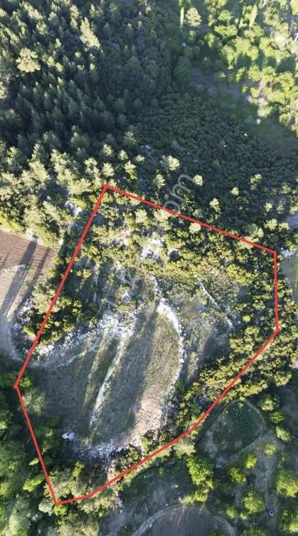 Antalya Kaş Kalkan Üzümlü 7781 M2 Satılık Tarla — fotoğraf 4
