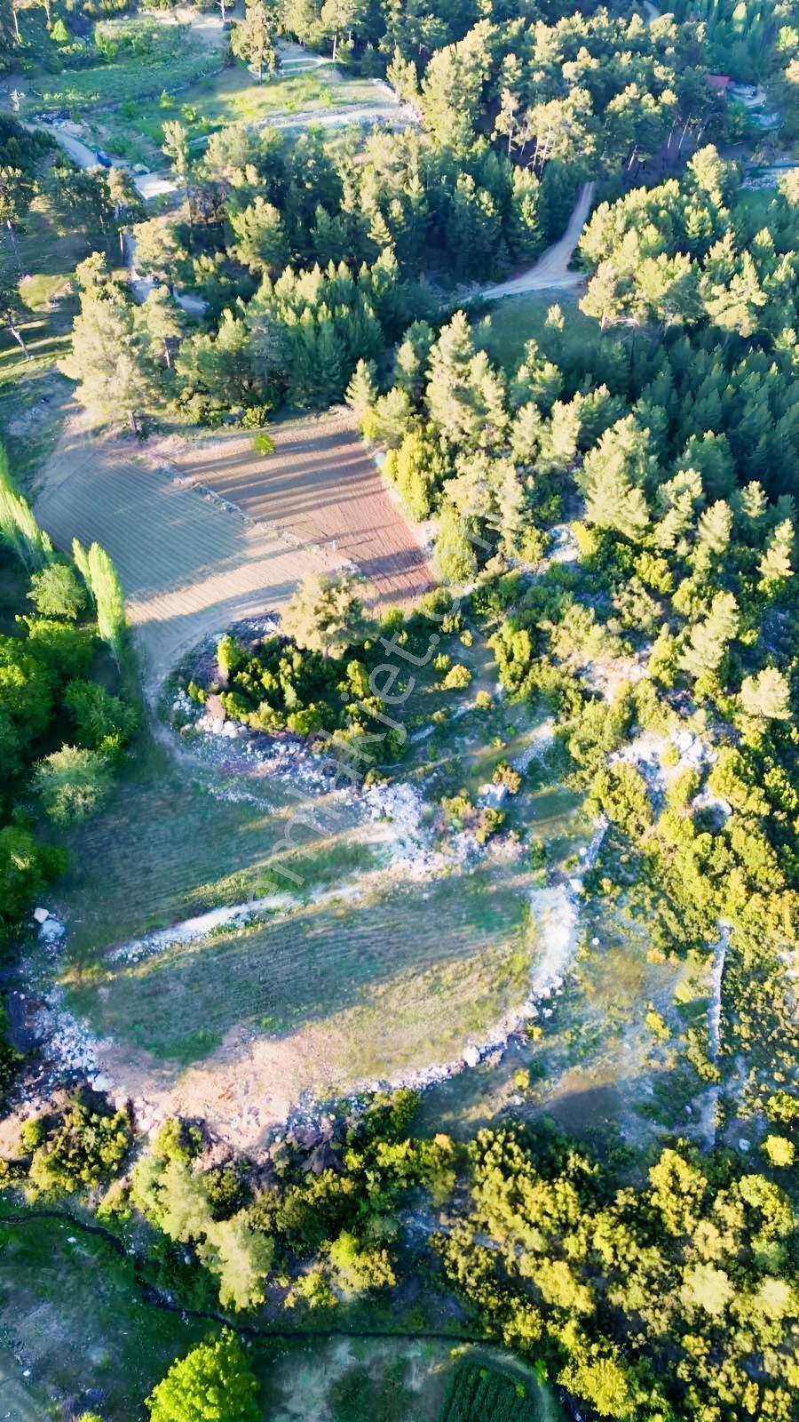 Antalya Kaş Kalkan Üzümlü 7781 M2 Satılık Tarla — fotoğraf 6