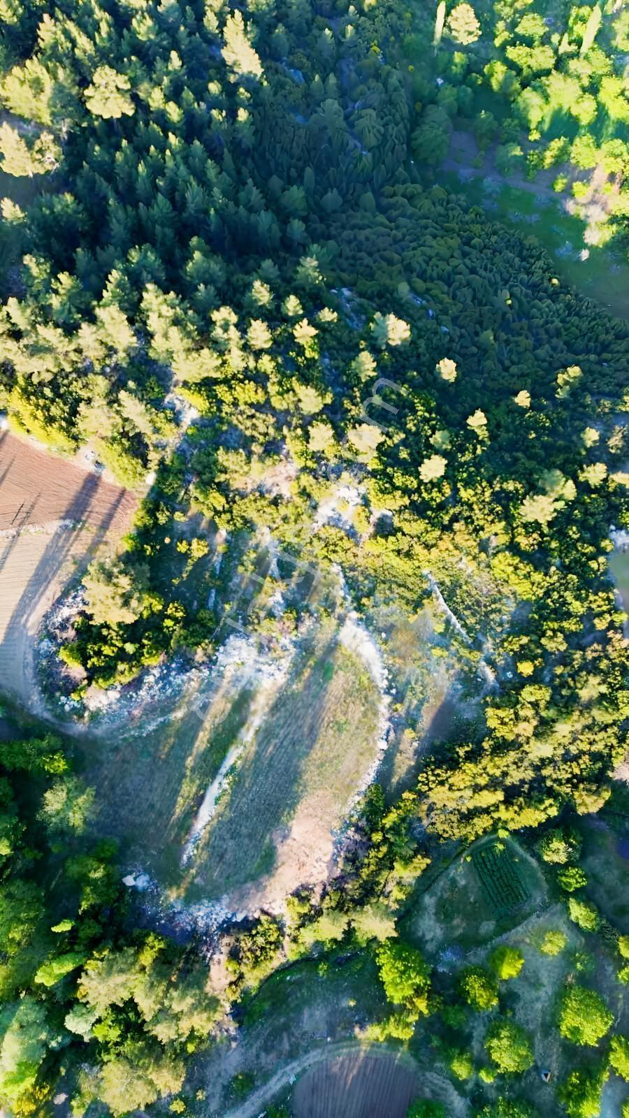 Antalya Kaş Kalkan Üzümlü 7781 M2 Satılık Tarla — fotoğraf 7
