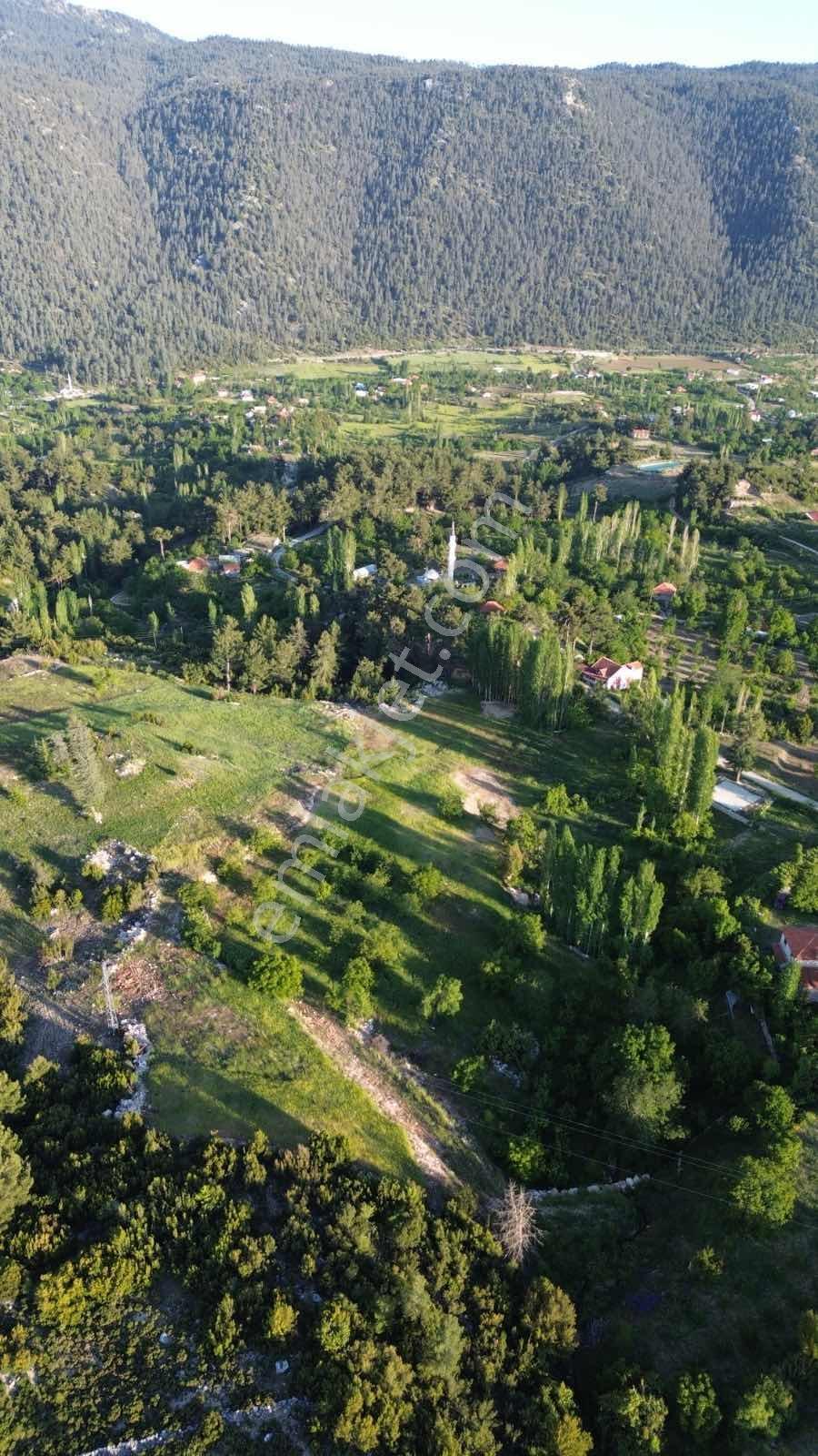 Antalya Kaş Kalkan Üzümlü 7781 M2 Satılık Tarla — fotoğraf 8