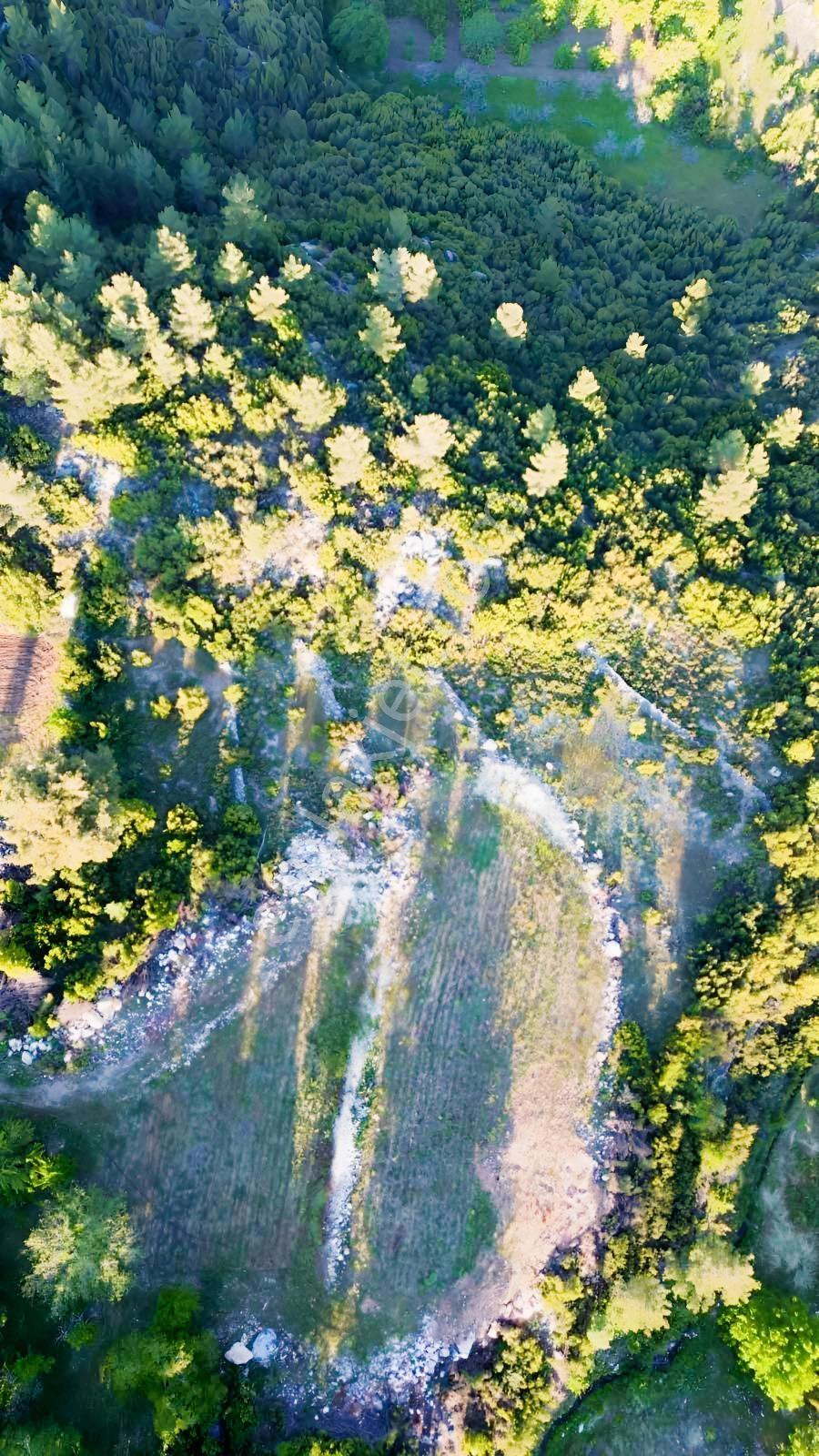 Antalya Kaş Kalkan Üzümlü 7781 M2 Satılık Tarla — fotoğraf 10