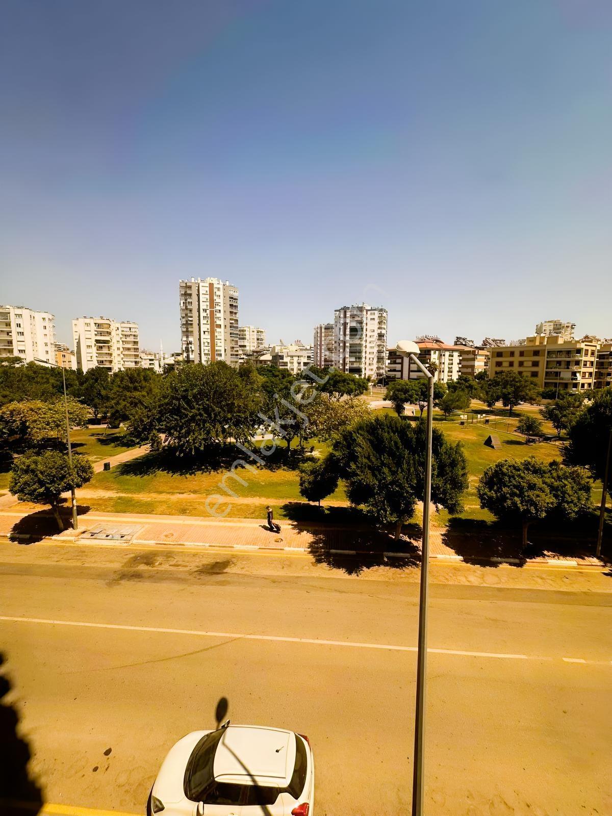 Meydankavağı Geniş Aydınlık 3 + 1 — fotoğraf 23