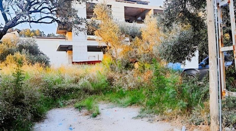 Harbıye Yolu Fıtjoy Spor Salonu Karşısı Kare Parsel — fotoğraf 3