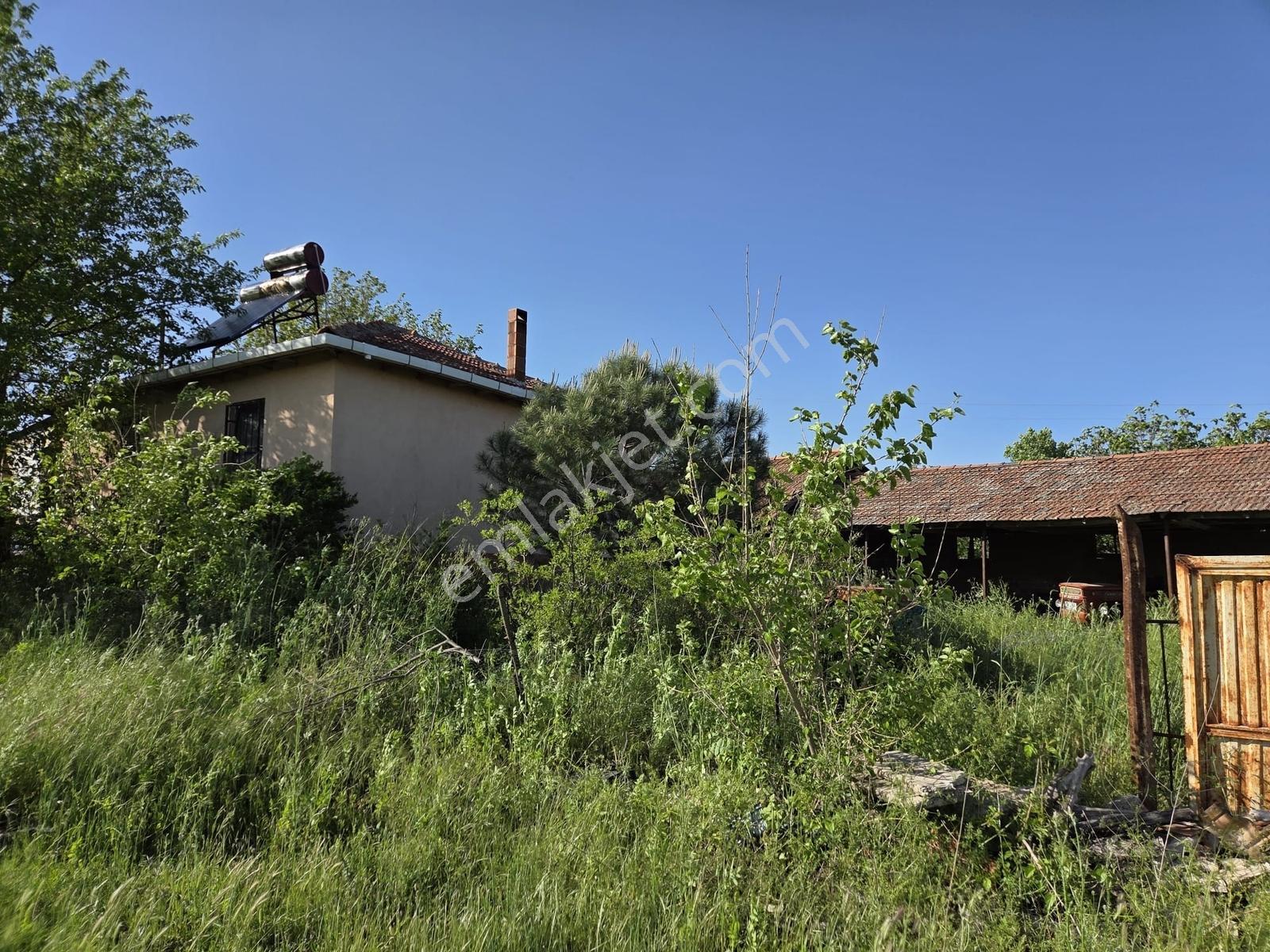 Artı'dan Savaştepe'de 6 Adet Toplam 50.000m2 Çiftlik Arazisi — fotoğraf 6