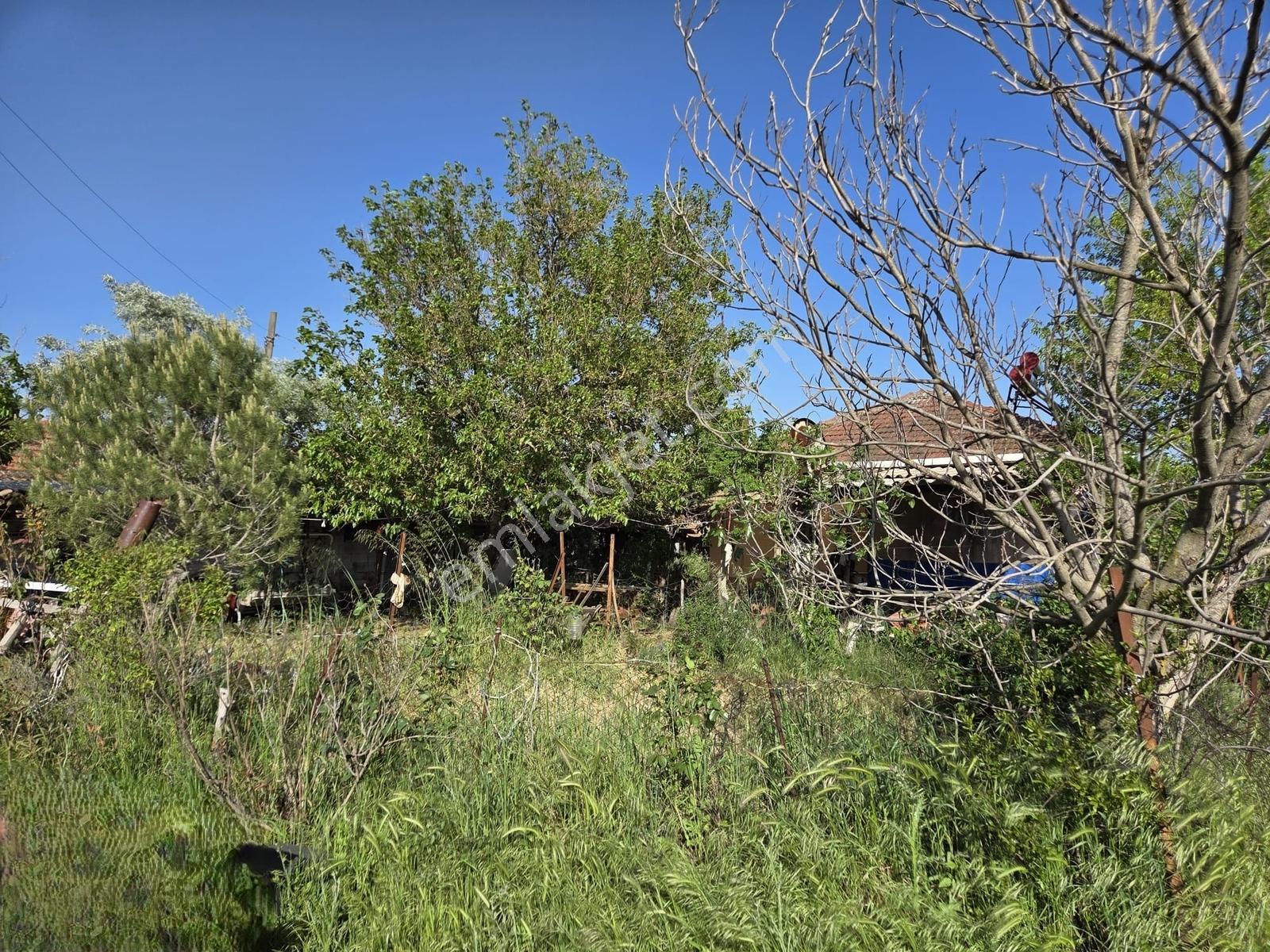 Artı'dan Savaştepe'de 6 Adet Toplam 50.000m2 Çiftlik Arazisi — fotoğraf 8