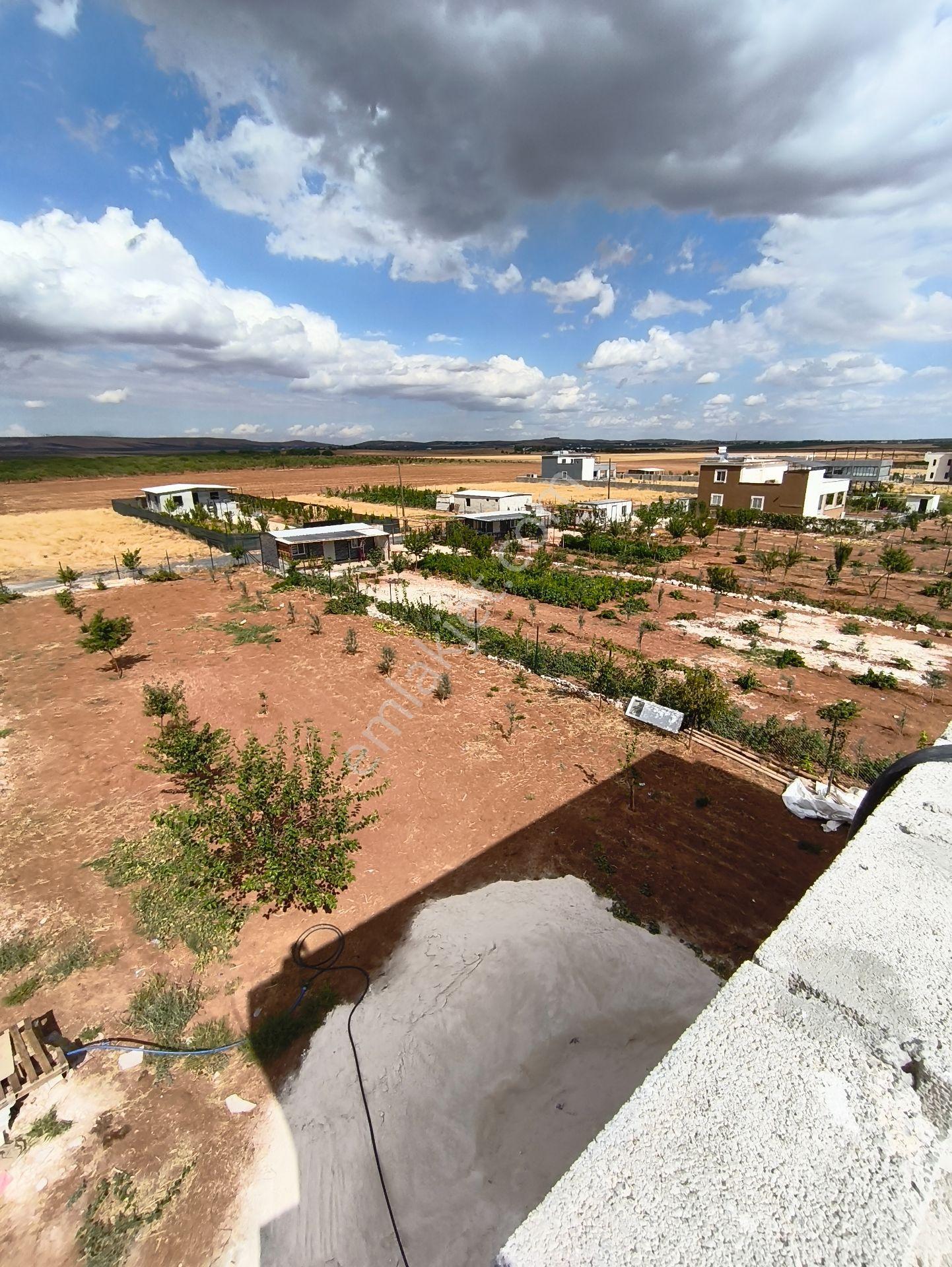 Akziyaret Emlaktan Satılık Bağevi — fotoğraf 15