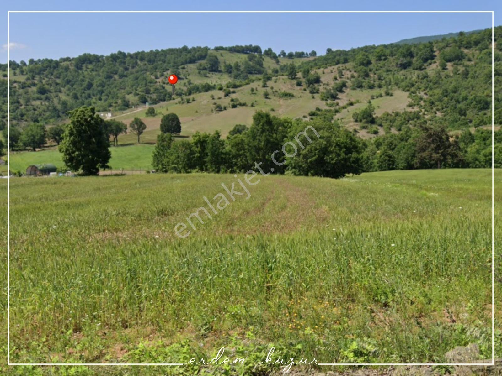 Bursa Kestel Nüzhetiye'de Satılık Arazi — fotoğraf 2