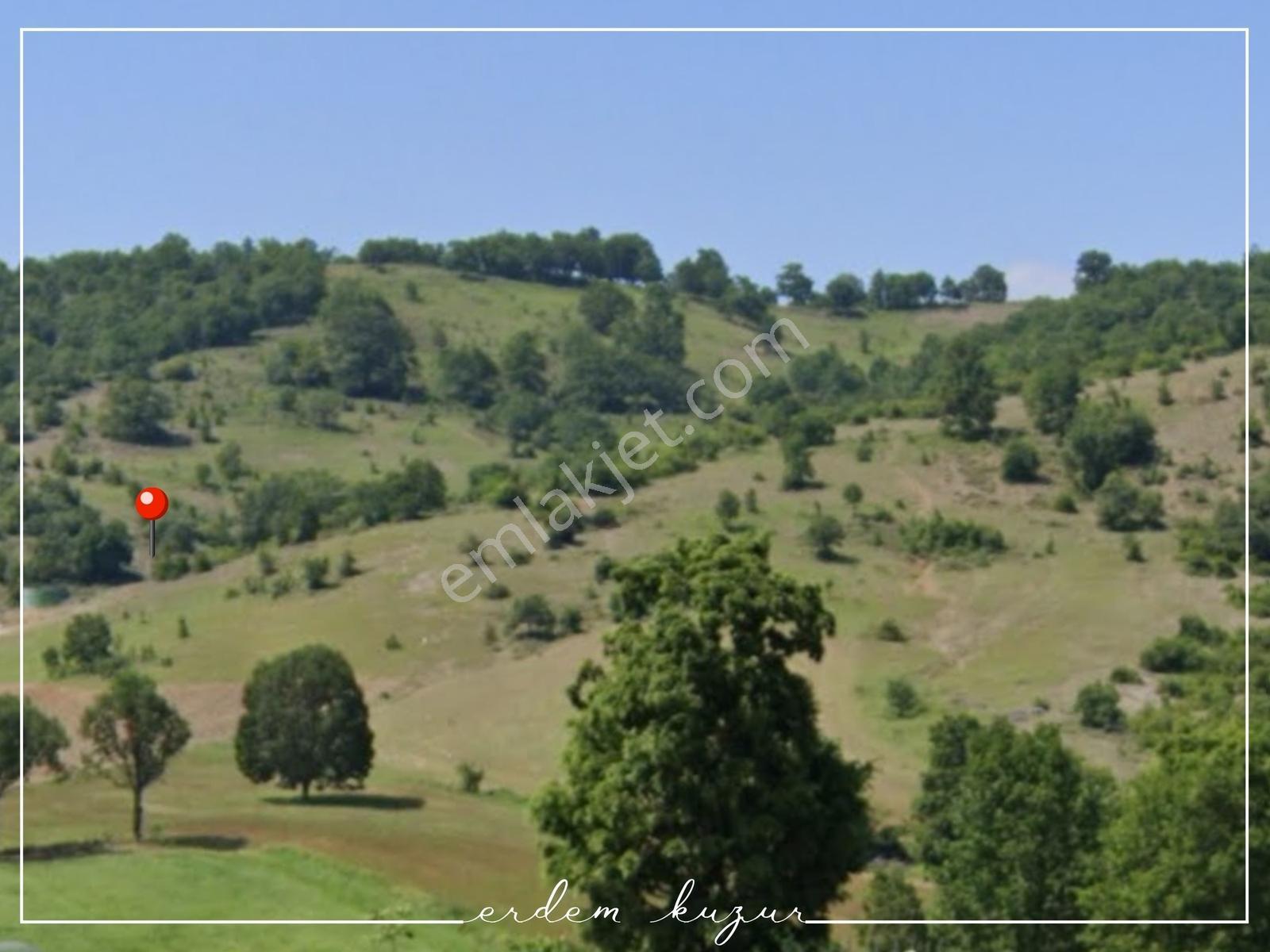Bursa Kestel Nüzhetiye'de Satılık Arazi — fotoğraf 5