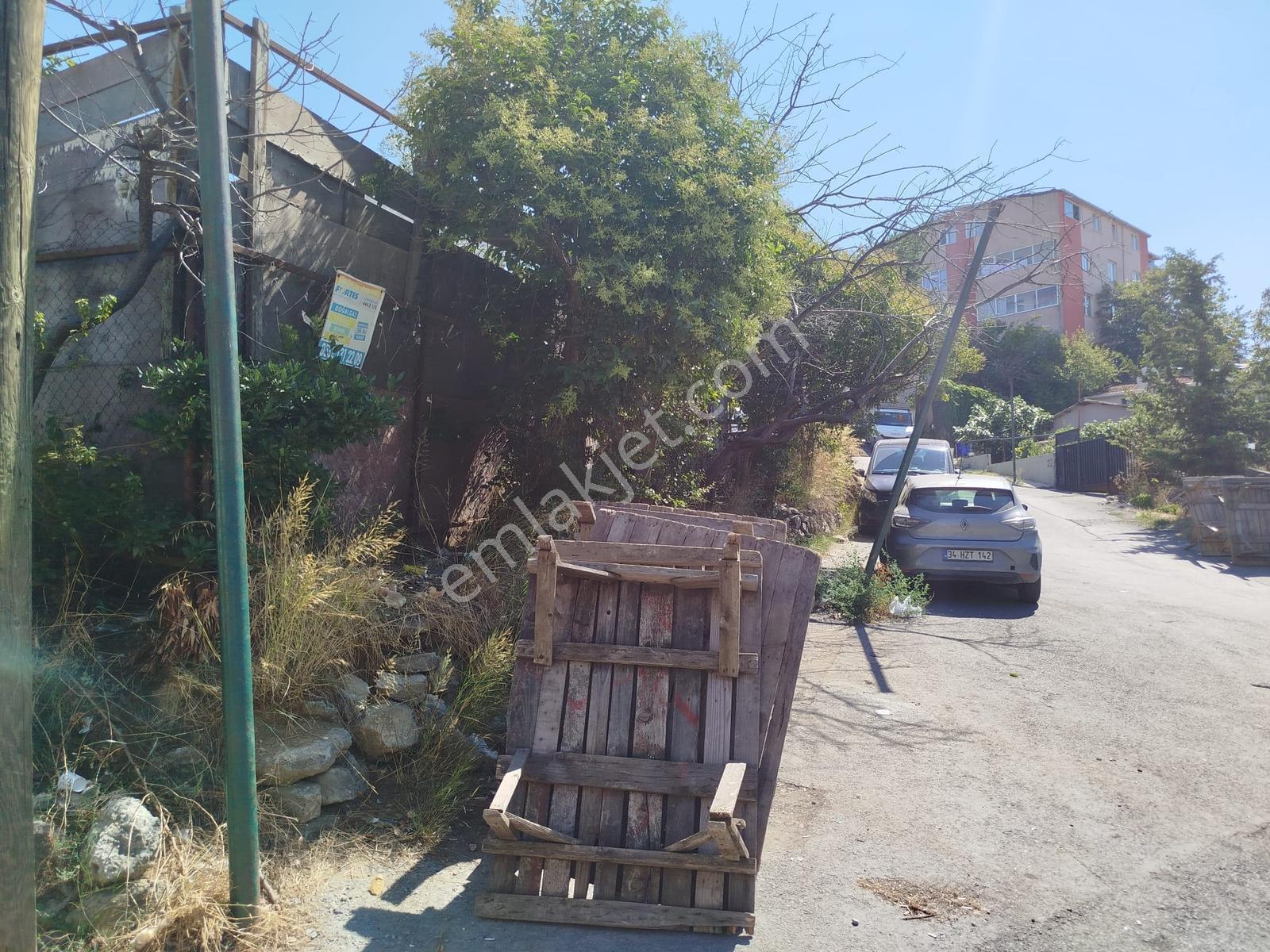 800 M2 Bahçeli Müstakil Satılık Ev — fotoğraf 5