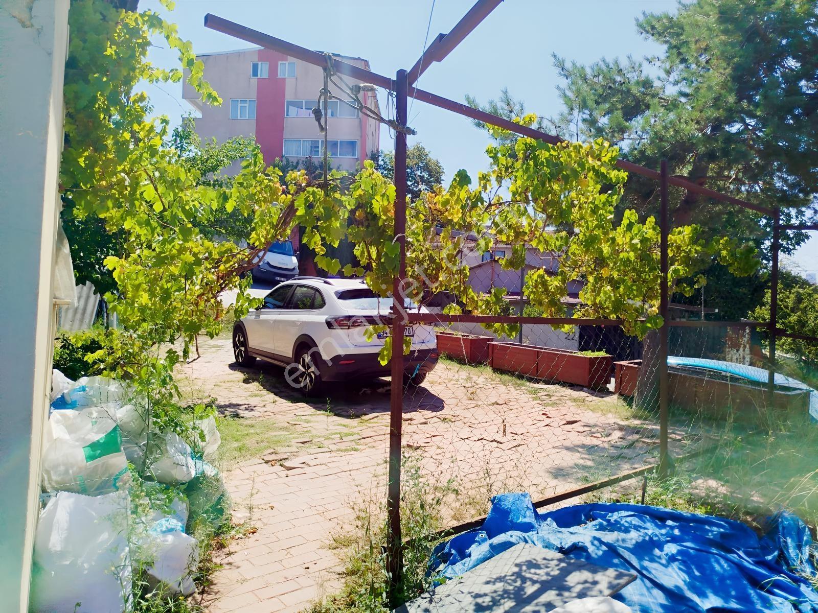 800 M2 Bahçeli Müstakil Satılık Ev — fotoğraf 7