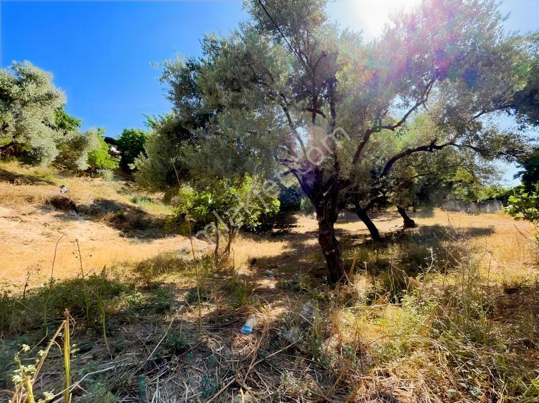 Germencik Çarıklarda İmarlı Arsa. — fotoğraf 2