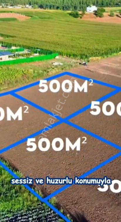 Çukurova *salbaş *pirili *mevkinde Satılık 500er M2* Hobi Bahçe*leri.video Bak — fotoğraf 7