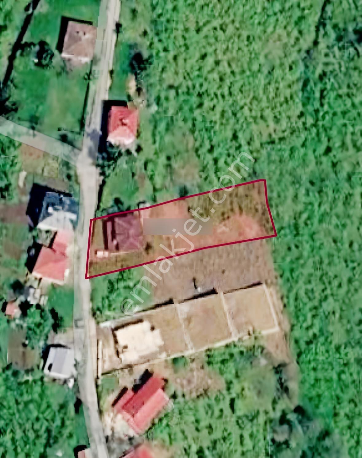Mana Gayrimenkulden | Çileklide 1.338 M² Müstakil Ev — fotoğraf 2