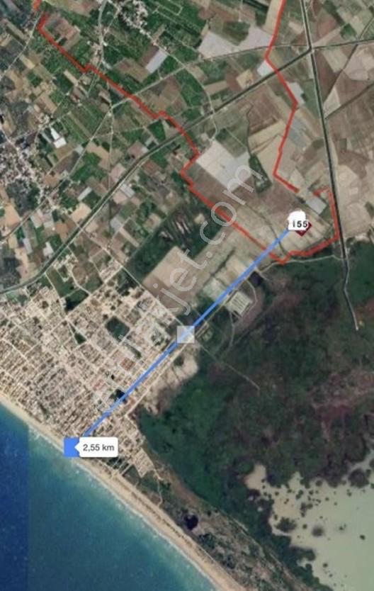 Mersin'in Gözdesi Gülümpaşalı'da Muhteşem Bir Tarla — fotoğraf 2