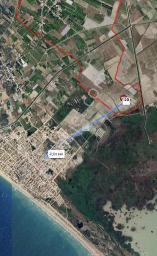 Mersin'in Gözdesi Gülümpaşalı'da Muhteşem Bir Tarla — fotoğraf 3