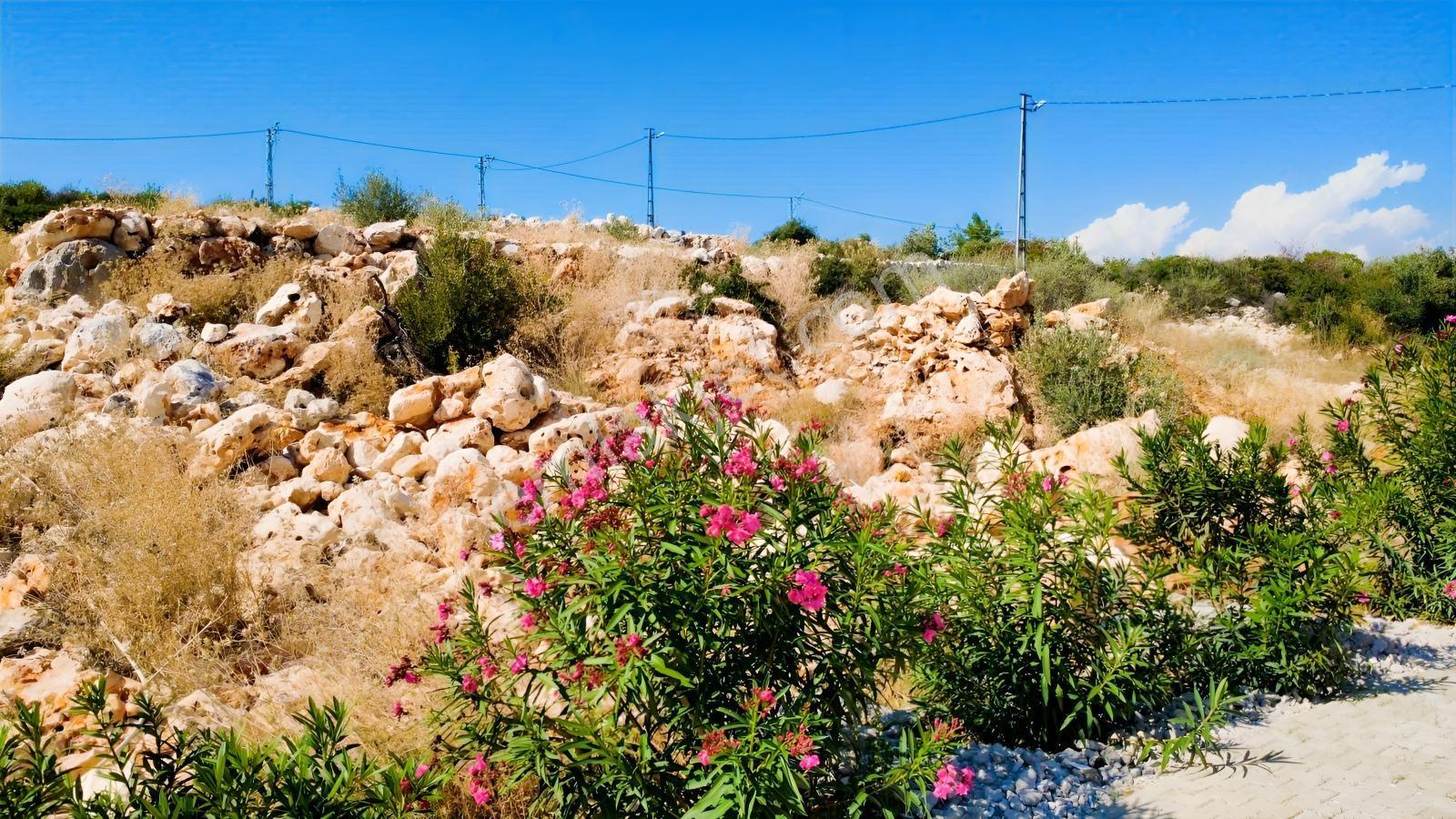 Mersin Erdemli Tırtar Satılık 350 Metrekare Z+2 Kat Arsa — fotoğraf 8