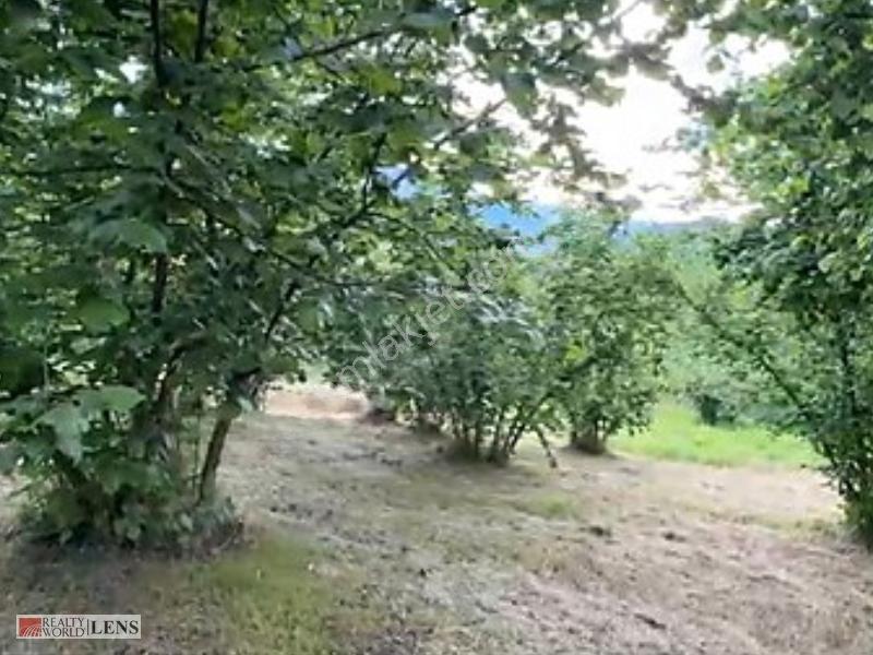 Sakarya/akyazı'da Doğa İle İç İçe, İmarlı Arsa — fotoğraf 7