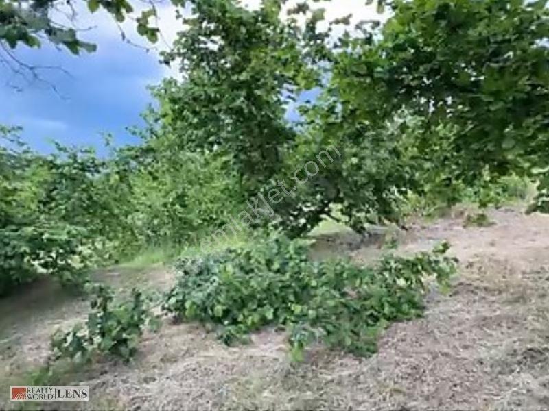 Sakarya/akyazı'da Doğa İle İç İçe, İmarlı Arsa — fotoğraf 8