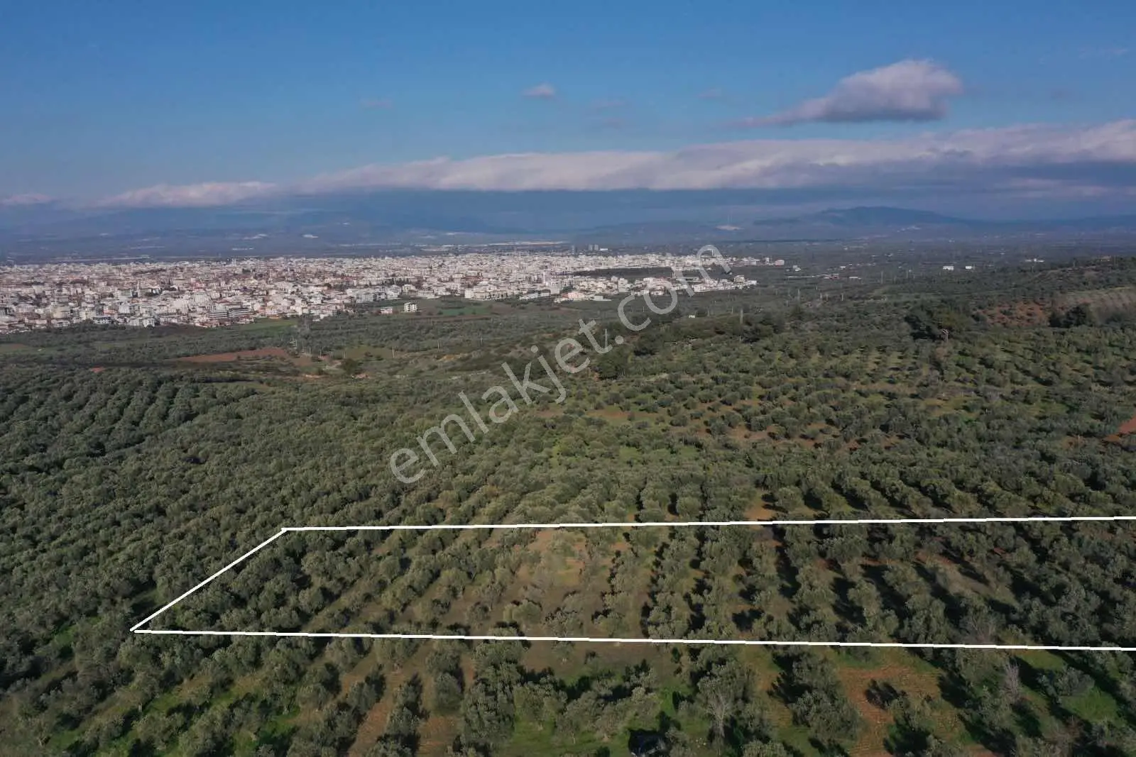 Akhisar Cumhuriyet Mahallesinde [izmirdağ Mevki] Yatırımlık — fotoğraf 2