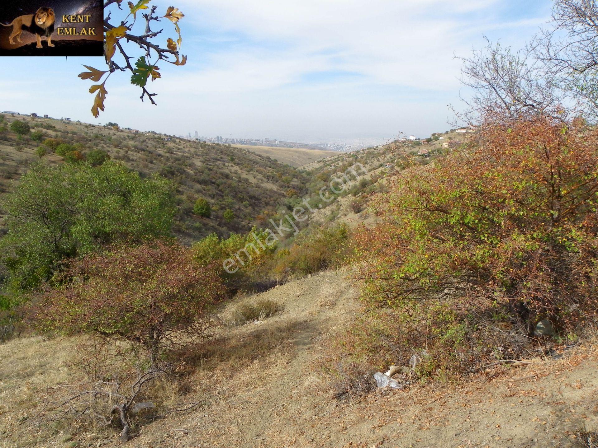Kent Emlaktan Çankaya Yakupabdalda 217 Metre Ana Caddeye Yakın Satılık Arsa