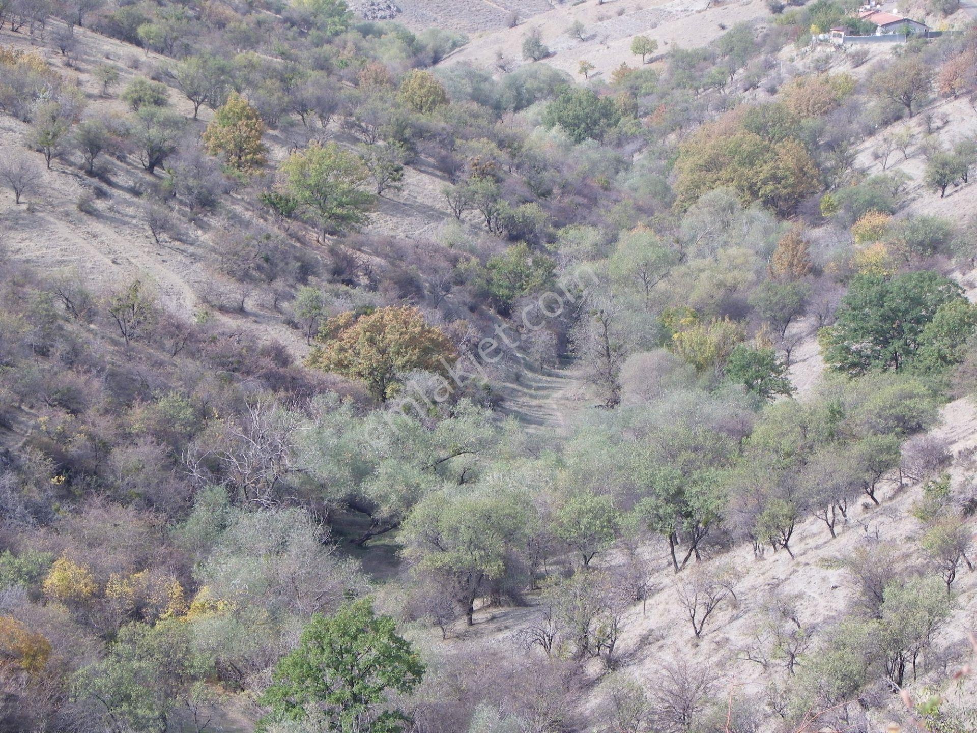 Kent Emlaktan Çankaya Yakupabdalda 217 Metre Ana Caddeye Yakın Satılık Arsa — fotoğraf 12