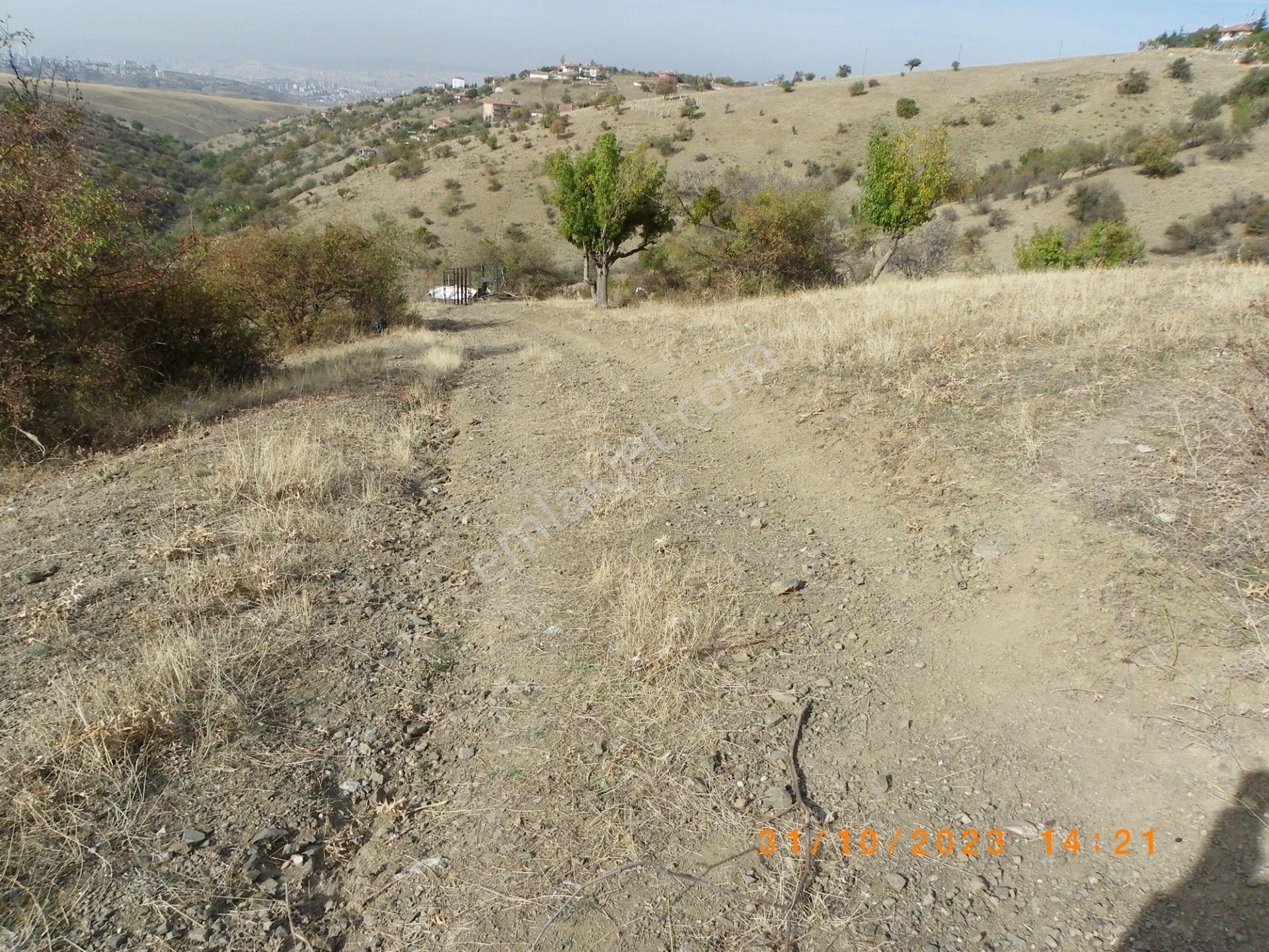 Kent Emlaktan Çankaya Yakupabdalda 217 Metre Ana Caddeye Yakın Satılık Arsa — fotoğraf 20