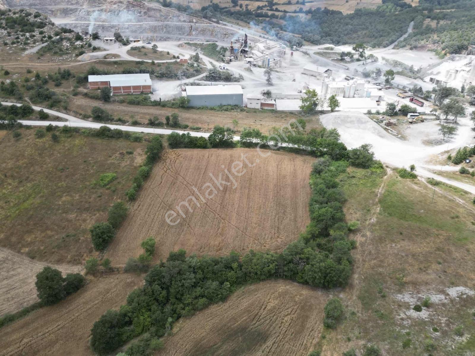 Kavak Satılık Tarla — fotoğraf 2