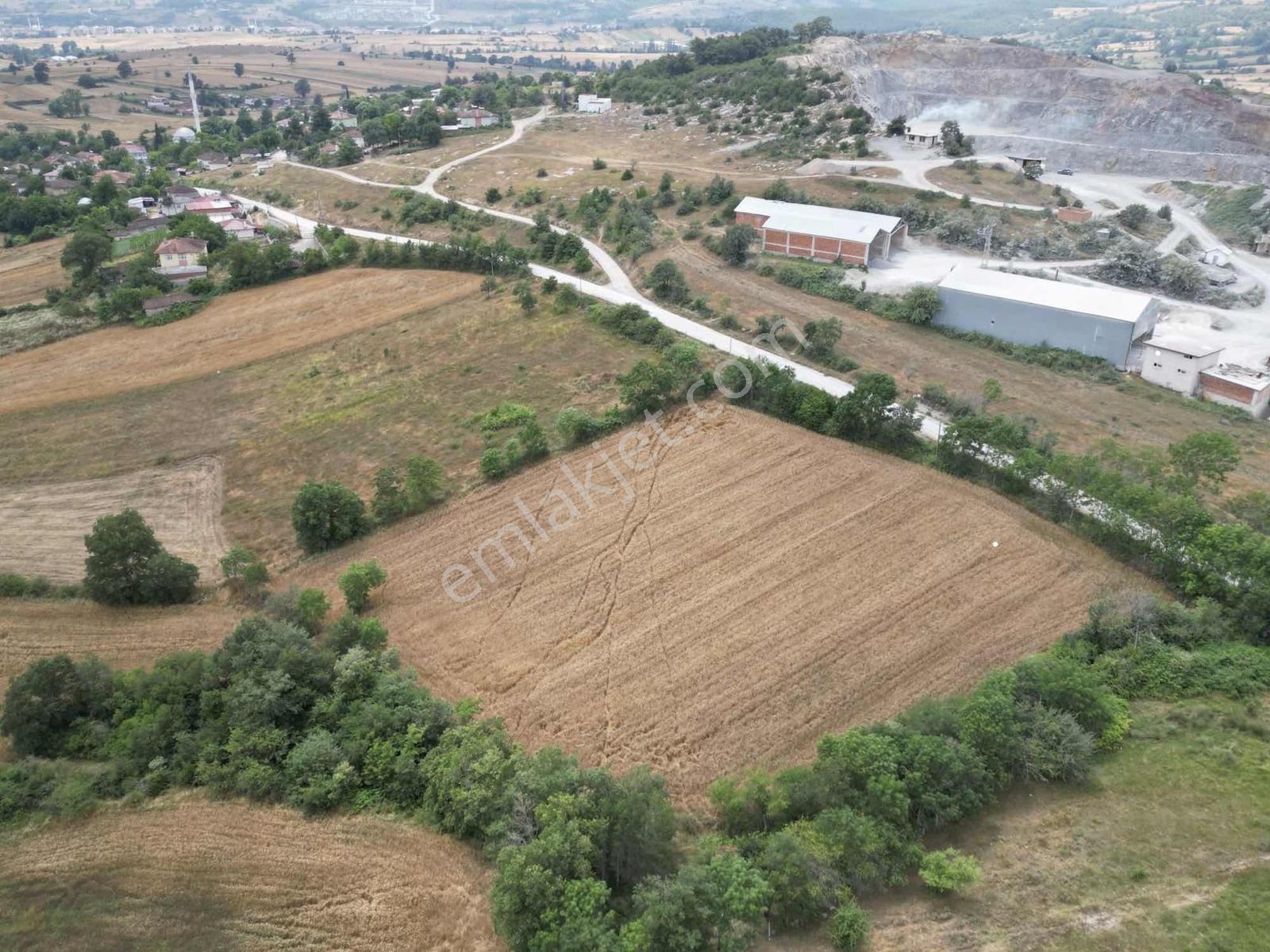 Kavak Satılık Tarla — fotoğraf 3